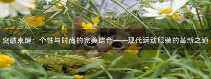 3377体育官网下载平台假的吗是真的吗吗:突破束缚:个性与时