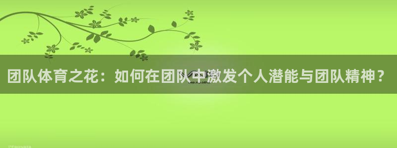 3377体育官方正版app官方:团队体育之花:如何在团队中激