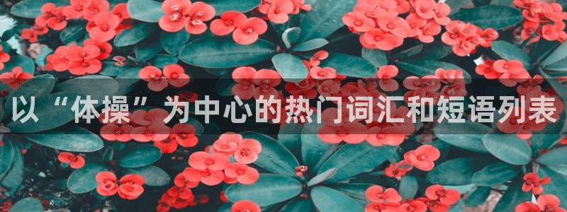 3377体育官方正版app娱乐平台:以“体操”为中心的热门词